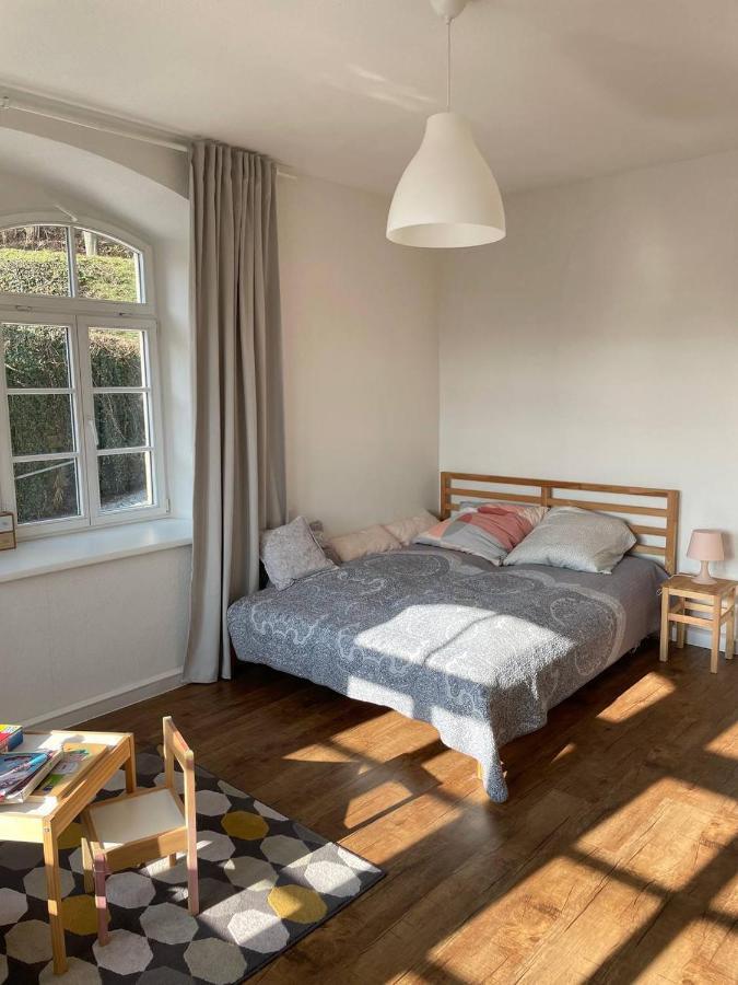 Bergblick Apartment SäChsische Schweiz Sebnitz Ngoại thất bức ảnh